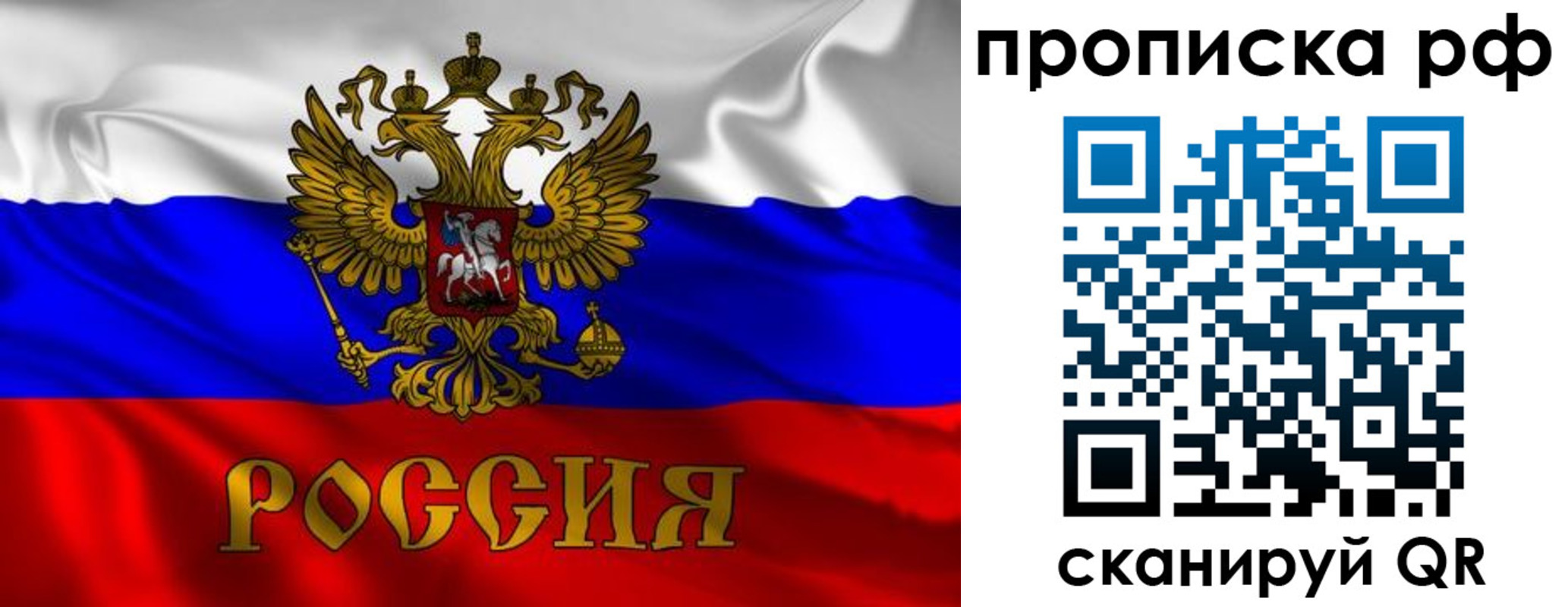 прописка 2025 в Щёкино